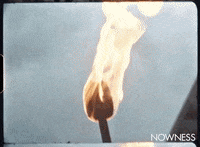 The Gathering Of The Juggalos GIF by NOWNESS