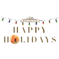 Happy New Year Party Sticker by Wellington Crackers