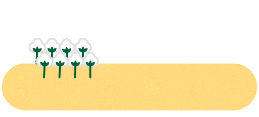 Soja Cotton Sticker by Ciaseeds