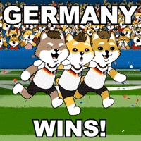 Fifa World Cup Sieg GIF by Dogelon Mars