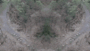 owc_oldenzaal icc oldenzaal owc owc oldenzaal GIF