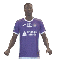 Soccer Stadium Sticker by Toulouse Football Club