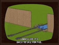 homer simpson GIF