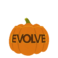Evolve Pumpkin Spice Sticker by Sunshine Mills