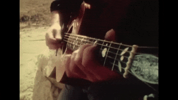greglakeofficial guitar greglake GIF