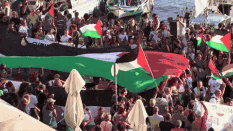 snow_musings giphygifmaker GIF