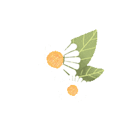 Flower Leaf Sticker by True To Skin