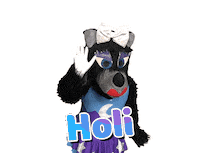 Hello Sticker by Tiempo Magico TV