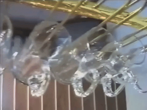 e-Kazan giphyupload GIF