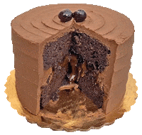 Food Chocolate Sticker by foodbabyny