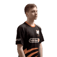 Twitch Dota Sticker by Virtus.pro