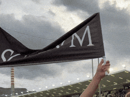 Serie B What GIF by Ascoli Calcio 1898