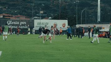 Happy Serie B GIF by Ascoli Calcio 1898
