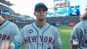 Ny Mets Sport GIF by New York Mets