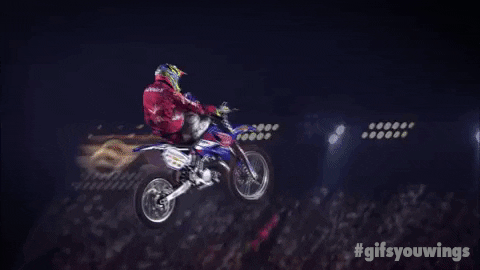 awesome let it go GIF by Red Bull
