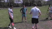big cat kfc GIF by Barstool Sports