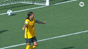 Sport Soccer GIF by Football Australia