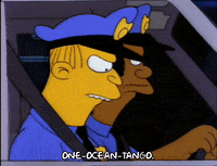 Driving Season 3 GIF by The Simpsons