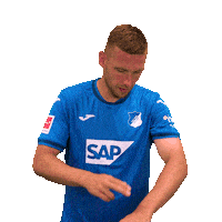Pavel Kaderabek Sport Sticker by TSG Hoffenheim
