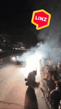 Fire Running GIF by Linz News