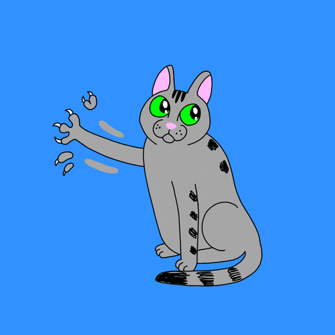 Kitty GIF by Jason Clarke