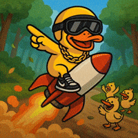 Lets Go Duck GIF by DUCKCOIN