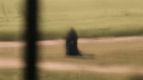 GIF by The Woman in the Yard