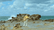 Music Video Sun GIF by Sheppard