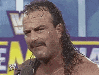 Jake The Snake Sport GIF by WWE