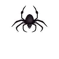 Halloween Spider Sticker by wowcreative@wowpik.vn
