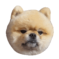 Manmani Sticker