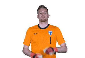 Euro Cup Football Sticker by Huuhkajat
