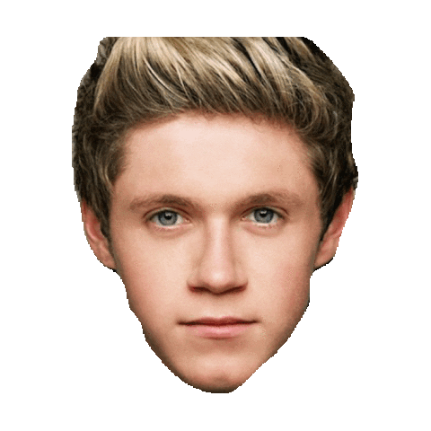 niall horan STICKER by imoji