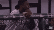 new york yankees wow GIF by MLB