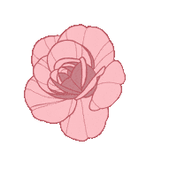 Ashley_arrue pink flower peony Sticker