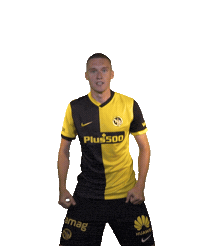 Celebrate Michel Aebischer Sticker by BSC Young Boys