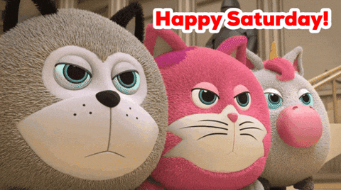 Happy Dog GIF by HangryPetz