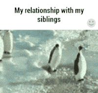 siblings GIF