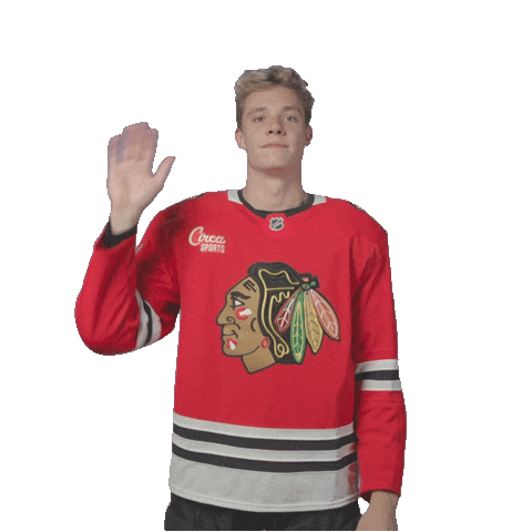 Alex Vlasic Sticker by NHLBlackhawks