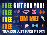 Pettumblefree GIF by Pettumble.com