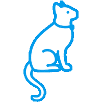 Expo Animalcare Sticker by Humane World for Animals