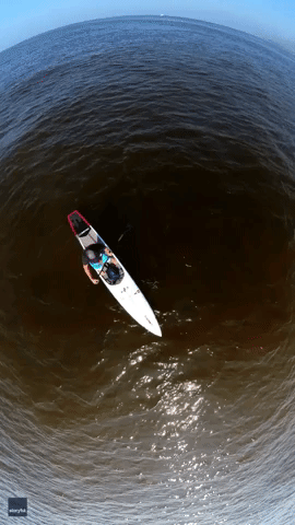 California Paddleboarder Contrasts Red Tide by Day With Bioluminescence at Night