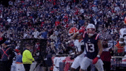 Mack Hollins Football GIF by New England Patriots