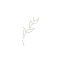 elcuadernoverde love happy sad aesthetic Sticker