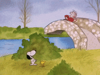 charlie brown GIF by Peanuts