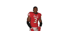 College Football Sticker by Maryland Terrapins