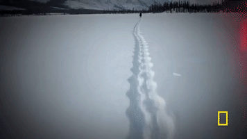 life below zero GIF by National Geographic Channel