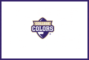 Washington Uw Sticker by College Colors Day