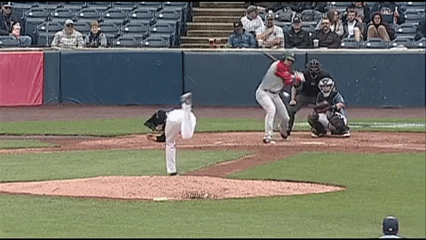 baseball catch GIF by West Michigan Whitecaps 