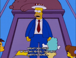 homer simpson episode 22 GIF